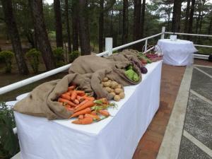 The perfect give away from a Baguio wedding—fresh vegetables! What more? They have rainbow colors: red pepper, orange carrot, yellow potato (the closest they could get!), green chayote and beans, blue/violet cabbage. Those little baskets topped off the idea!